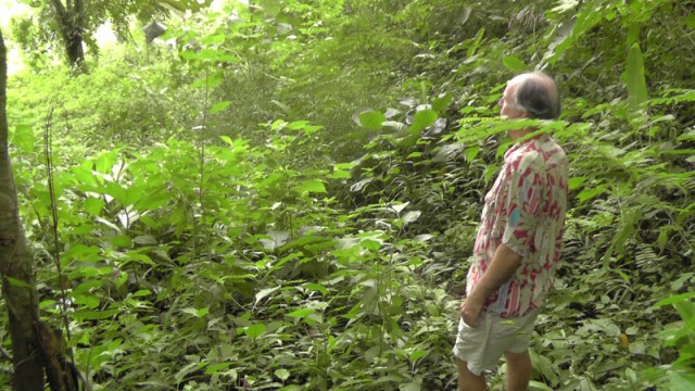 My husband is looking ahead at the path into a very green forest as we make our way to the river.