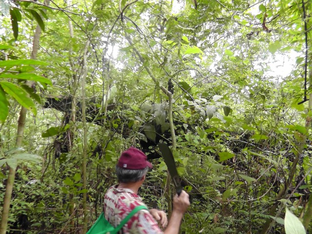 Joel’s turn with the machete