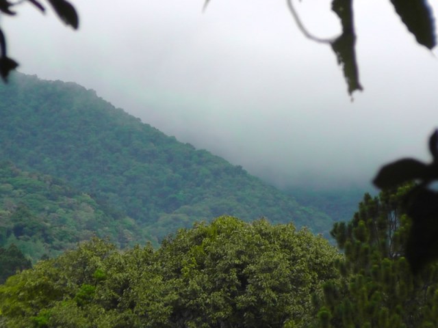 Boquete, Chiriqui Panama