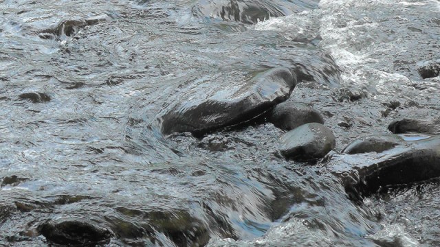 The water swirling over the rocks in the river is also interesting