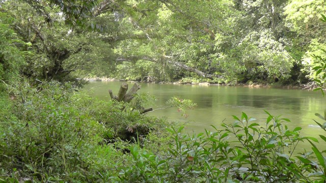 Of course I had to include a picture of the river, my new favorite place!