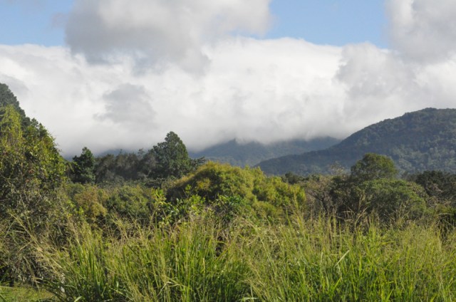 I love the clouds on the tops of the mountains