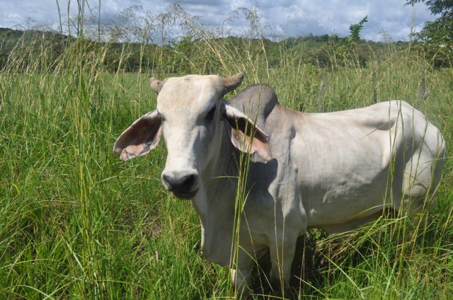 What?! I'm doing my work, so why are you stopping to look at me?
