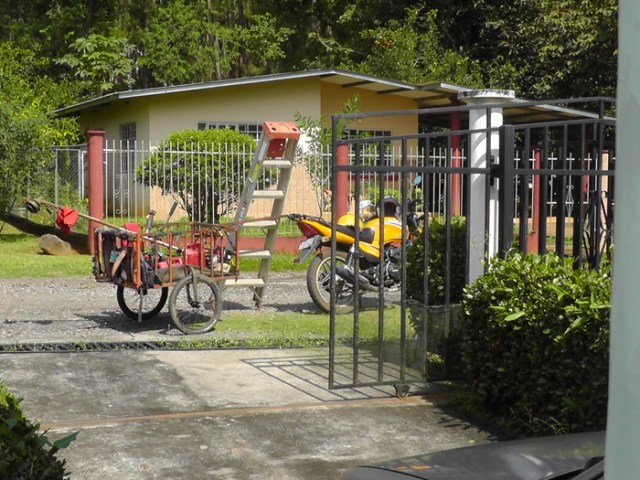 this is our yard man's equipment. He works with a weed eater and a rake, and carries them and his helper with his motorcycle. Weed eaters seem to be the most common yard maintenance tool. I 've only seen a USA style lawn mower once here. I certainly don't miss the sound of the big lawn mowers and leaf blowers that were so common in Florida.