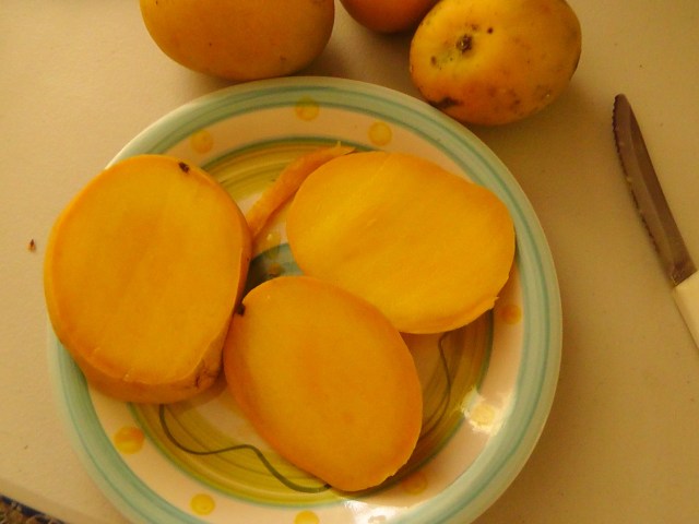 mango4