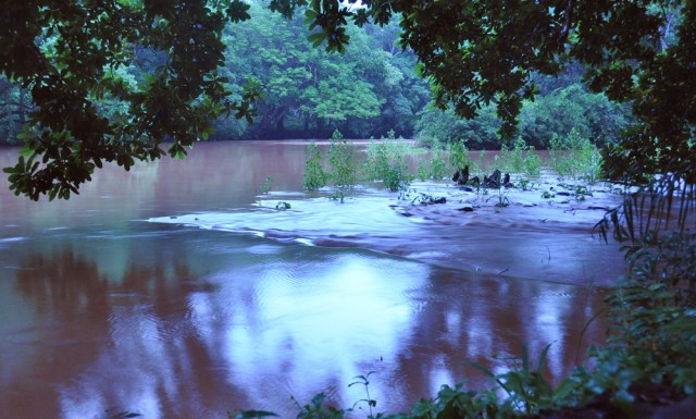 Panama, River David, muddy after the rains.