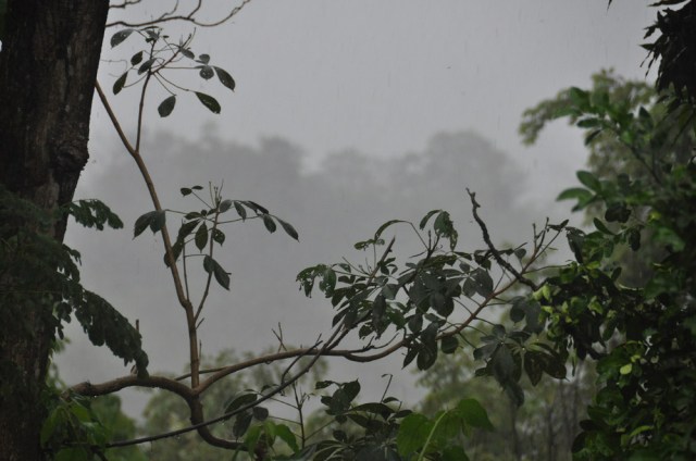 Raining in Panama