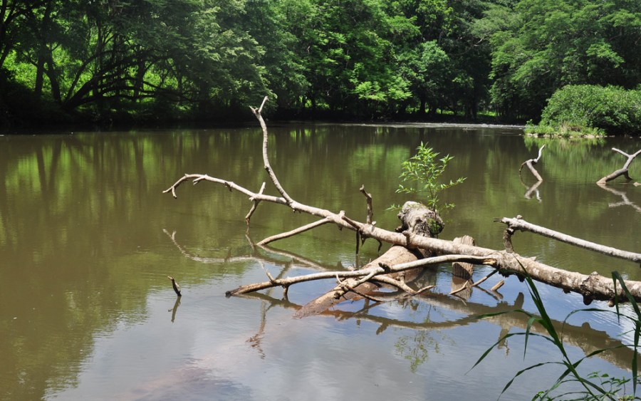 David, Chiriqui, Panama, Rio David