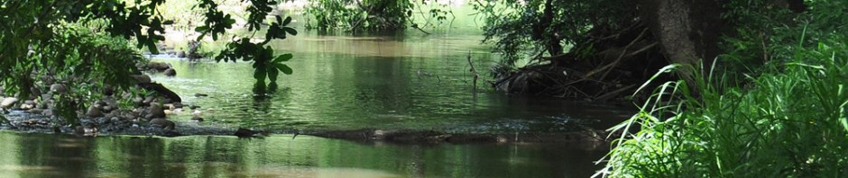 David, Chiriqui, Panama, Rio David