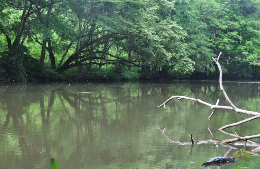David, Chiriqui, Panama, Rio David