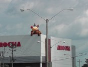 A store  has Rudolf hanging out on the roof!