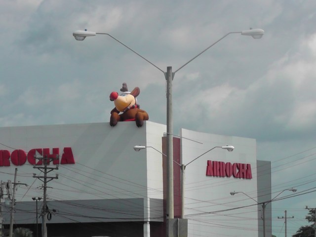 A store  has Rudolf hanging out on the roof!