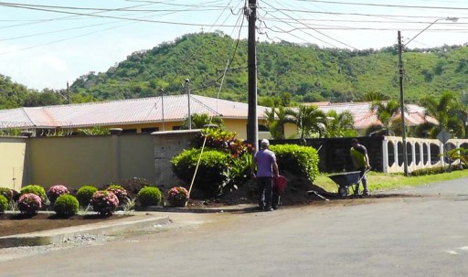 We have seen more piles of dirt left by the street lately. When this happens, soon after there are men with wheelbarrows to move the dirt and get going on whatever gardening project is underway.