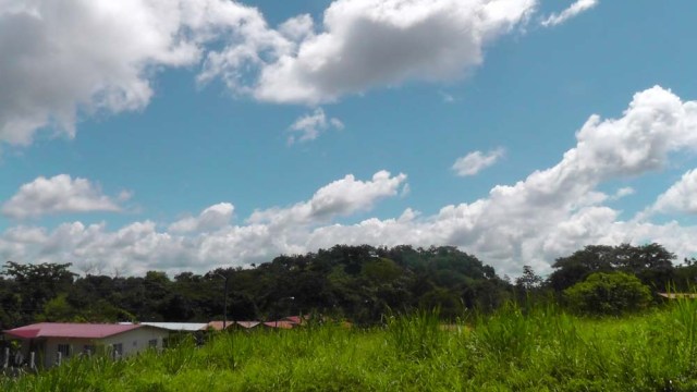 The neighborhood as we return from our bike ride. 