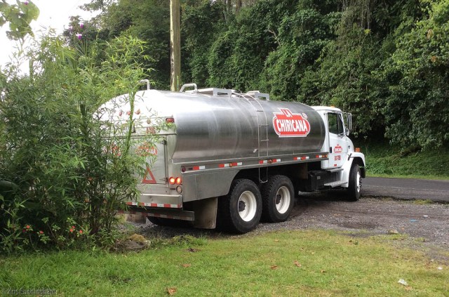 The milk truck comes every other day to collect the milk. 