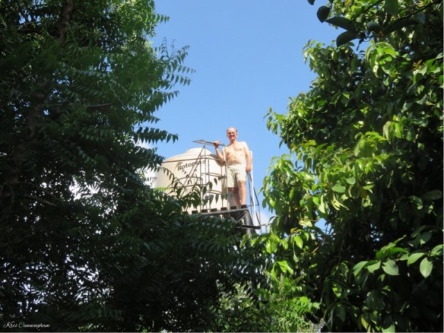 The tank is full of water so that is good, but still not sure what to do about the intermittent leak. The flowers below are very happy though.