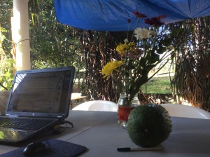 My usual view at my outside "office". The flowers are a gift from one of my neighbors, and the big green thing is a guanabana (soursap) that Joel managed to get before it fell. 