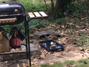 The BBQ waits to be put back in place while one of our frequent visitors gets a drink from the not fancy, but much appreciated bird bath. 