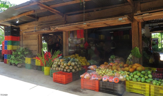 This is the front of the market. You can see avocados, passion fruit, papayas, parsley, bananas, pineapples, a bucket of flowers, oranges, and plantains. 