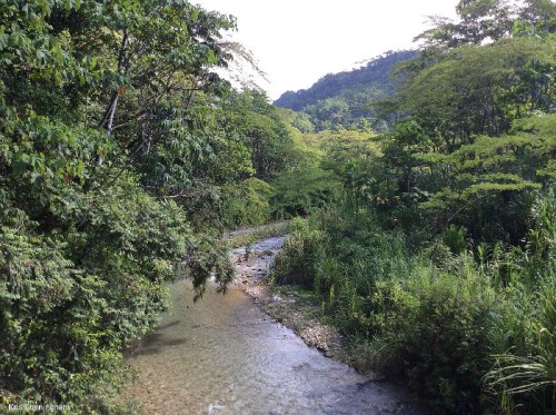 Really pretty scenery