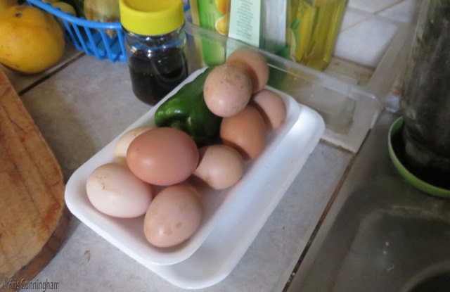 home grown eggs!