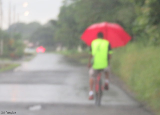 On another day we were in the car in the rain, and saw this interesting way of keeping dry on a bicycle. 