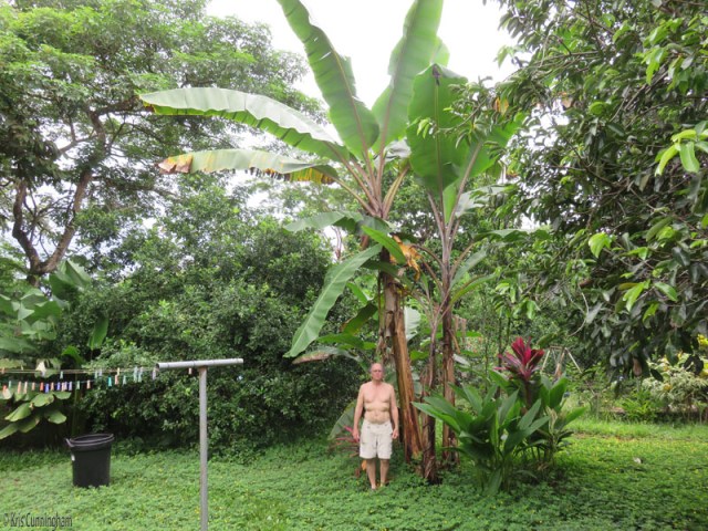 Here's Joel, a full size man to give you some perspective