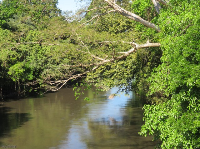 This is the river before Guarumal on the way to La Barqueta beach