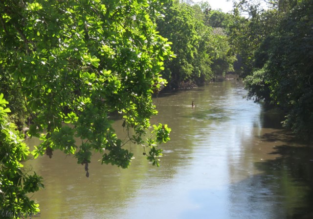This is the same river looking in the other direction from the bridge. It must not be very deep because this man easily walked across it. 