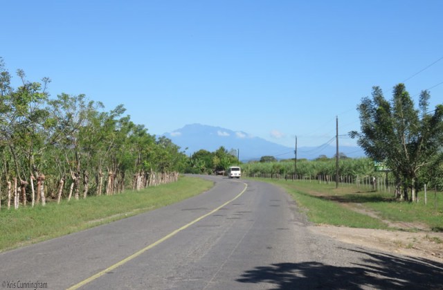 A bit more countryside on the way to La Barqueta beach - living fences, sugar cane fields, and Volcan Baru in the distance