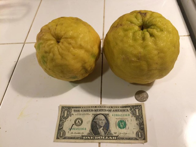 This is Joel's photo. I stole it from his Facebook page. Thanks you Joel