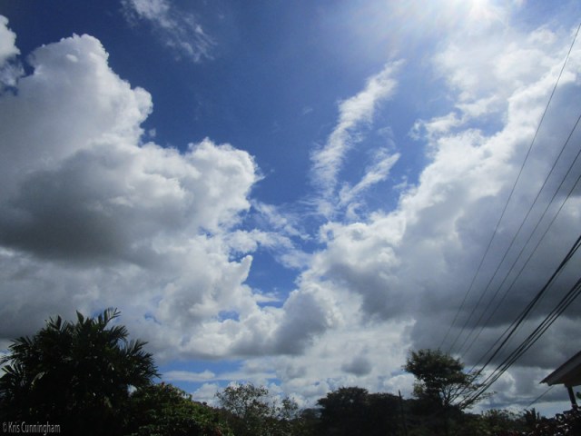 I love beautiful skies with interesting clouds, and today you can see this everywhere you look. 