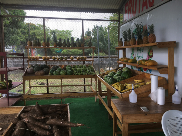 Yummy fruit! There is nothing like a sweet, fresh, Panamanian pineapple. The summer watermelons are really good too.