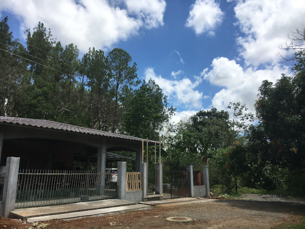 Sunday, looking like summer again with beautiful puffy clouds in blue skies. Our neighbors have been working hard on this beautiful addition to the house.