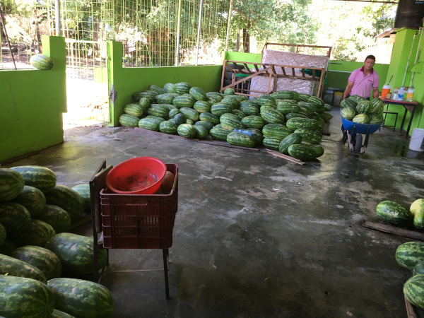 My friend was loading watermelons from this area behind a bar. Apparently I found a watermelon warehouse! :D
